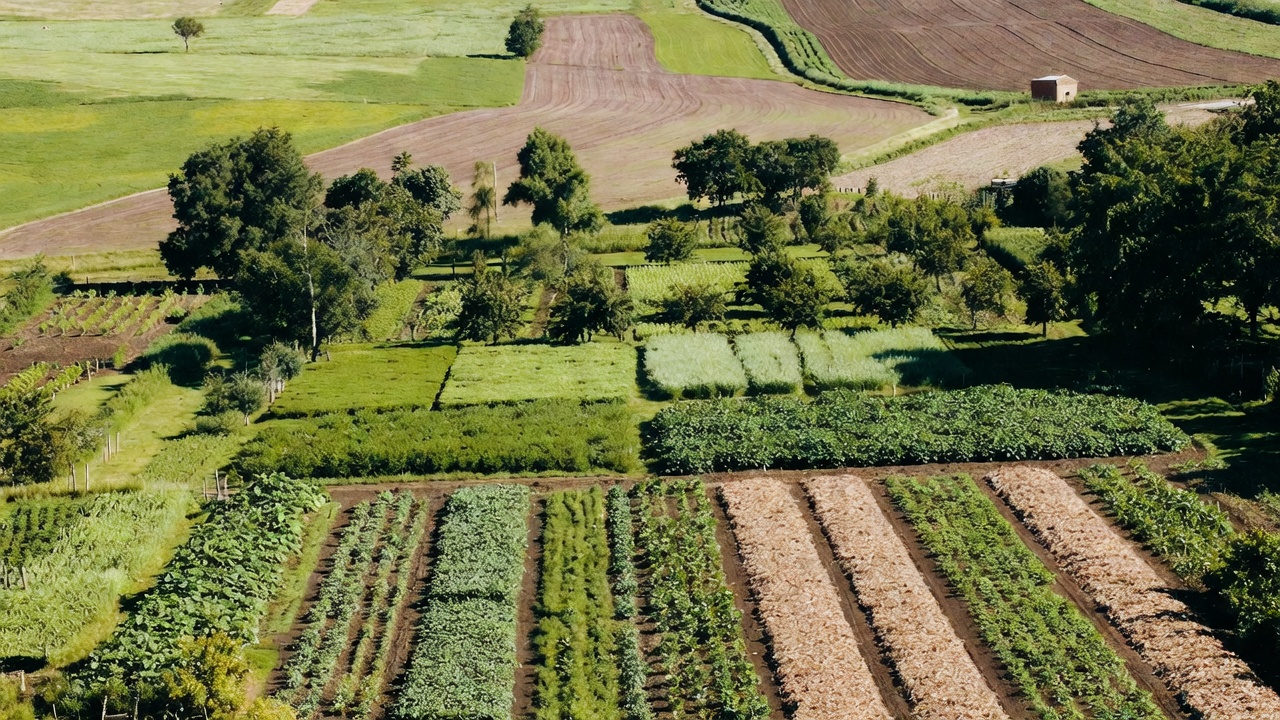 Regenerative Agriculture Practices for Small-Scale Landowners